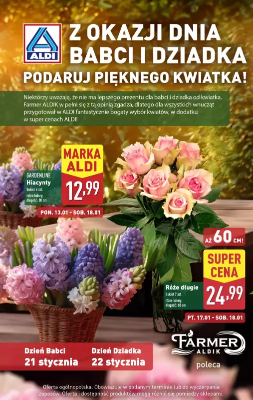 Aldi - gazetka promocyjna Pełny katalog! od poniedziałku 13.01 do soboty 18.01 - strona 4