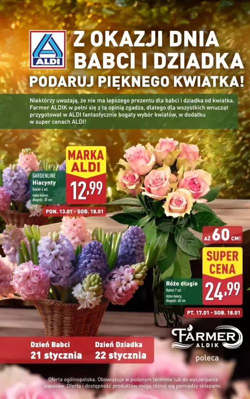 Aldi - gazetka promocyjna Kwiaty na Dzień Babci i Dziadka od poniedziałku 13.01 do soboty 18.01