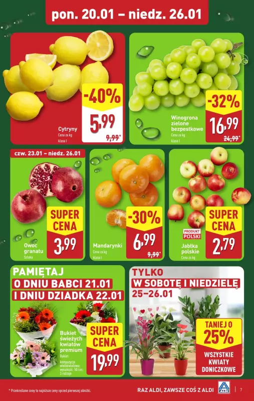 Aldi - gazetka promocyjna Pełny katalog! od poniedziałku 20.01 do niedzieli 26.01 - strona 7