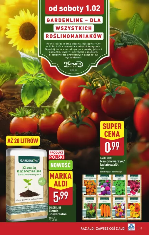 Aldi - gazetka promocyjna Aldi ma to coś! od środy 29.01 do soboty 01.02 - strona 13