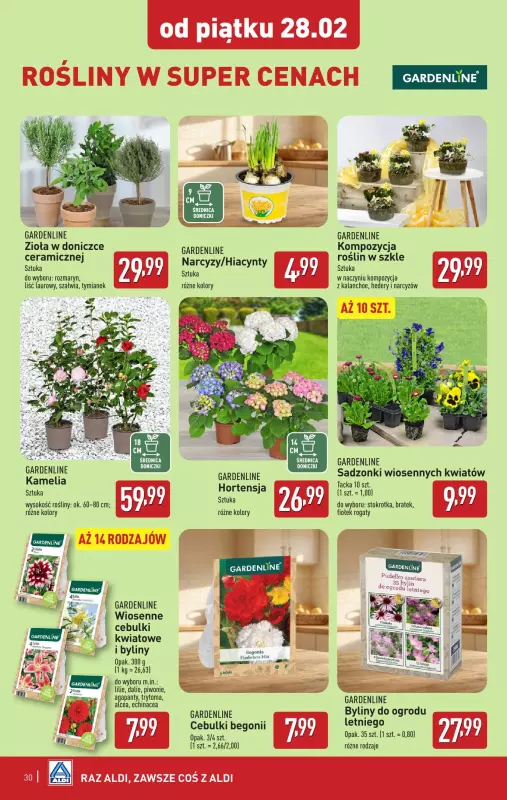 Aldi - gazetka promocyjna Pełny katalog! od poniedziałku 24.02 do soboty 01.03 - strona 30