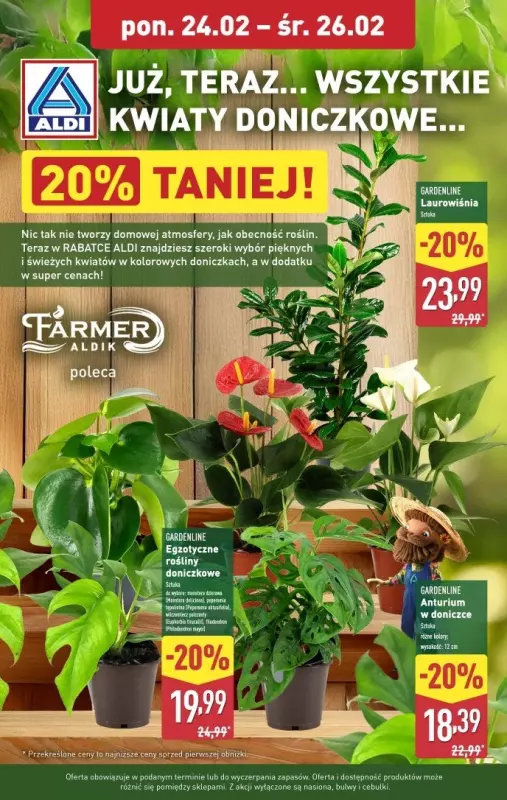 Aldi - gazetka promocyjna Kwiaty doniczkowe 20% taniej! od poniedziałku 24.02 do środy 26.02