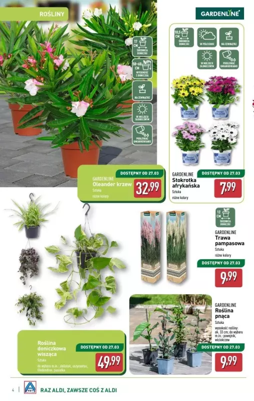 Aldi - gazetka promocyjna Katalog ogrodowy od środy 05.03 do soboty 08.03 - strona 4