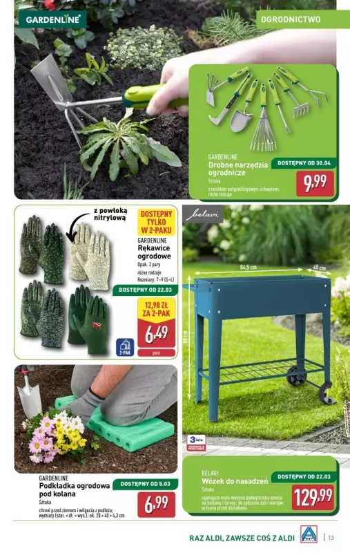 Aldi - gazetka promocyjna Katalog ogrodowy od środy 05.03 do soboty 08.03 - strona 13