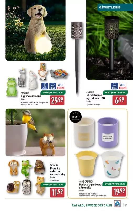 Aldi - gazetka promocyjna Katalog ogrodowy od środy 05.03 do soboty 08.03 - strona 37