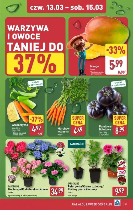 Aldi - gazetka promocyjna Pełny katalog! od poniedziałku 10.03 do soboty 15.03 - strona 33