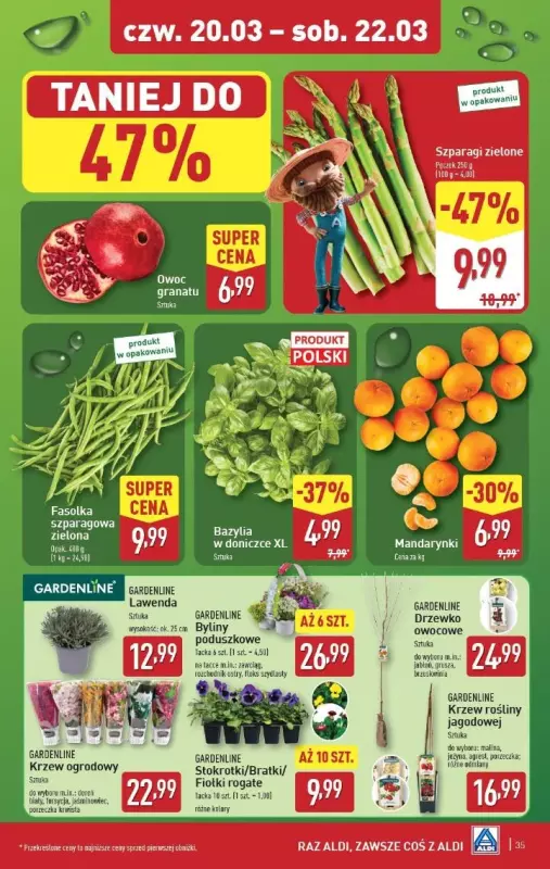 Aldi - gazetka promocyjna Pełny katalog! od poniedziałku 17.03 do soboty 22.03 - strona 35