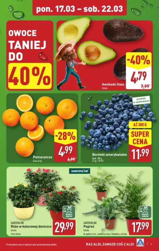 Aldi - gazetka promocyjna Pełny katalog! od poniedziałku 17.03 do soboty 22.03 - strona 3