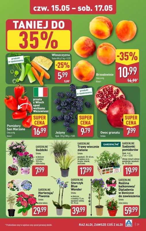 Aldi - gazetka promocyjna Pełny katalog! od poniedziałku 12.05 do soboty 17.05 - strona 29