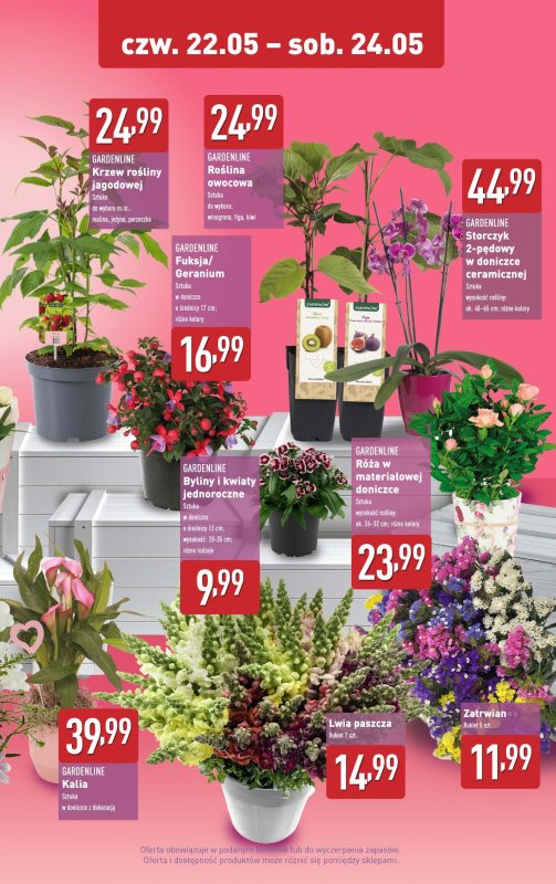 Aldi - gazetka promocyjna Na Dzień Matki piękne kwiatki! od czwartku 22.05 do soboty 24.05 - strona 2
