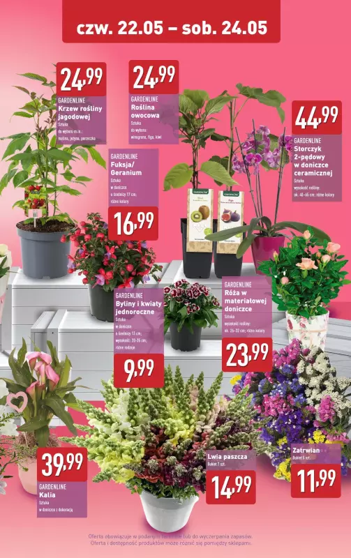 Aldi - gazetka promocyjna Na Dzień Matki piękne kwiatki!   - strona 2