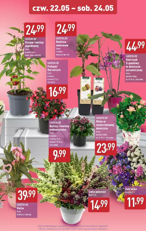 Aldi - gazetka promocyjna Weekend super cen w Aldi! od czwartku 22.05 do soboty 24.05 - strona 9