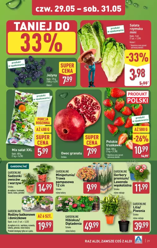 Aldi - gazetka promocyjna Pełny katalog! od poniedziałku 26.05 do soboty 31.05 - strona 29