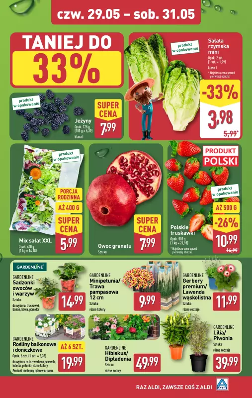 Aldi - gazetka promocyjna Farmer Aldik poleca od poniedziałku 26.05 do soboty 31.05 - strona 6