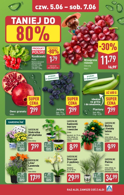 Aldi - gazetka promocyjna Farmer Aldik poleca! od poniedziałku 02.06 do soboty 07.06 - strona 6