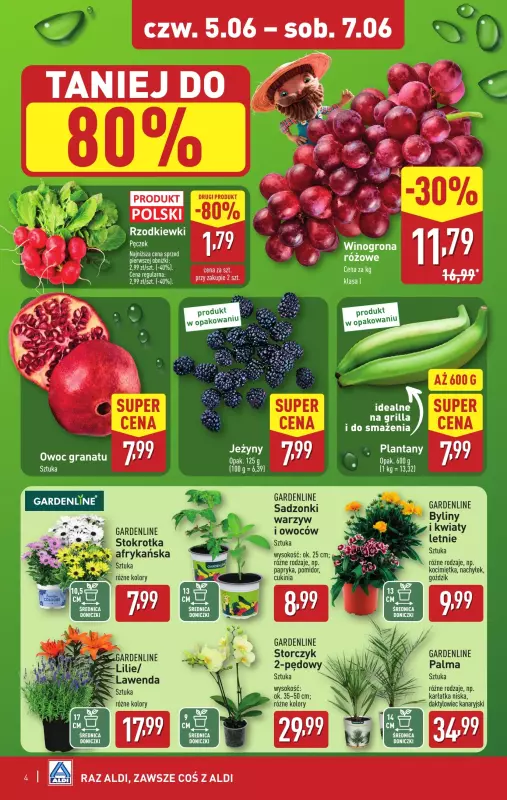 Aldi - gazetka promocyjna Weekend super cen w Aldi! od czwartku 05.06 do soboty 07.06 - strona 4