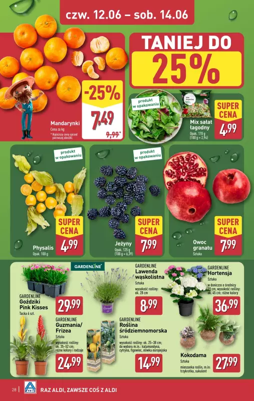 Aldi - gazetka promocyjna Pełny katalog! od poniedziałku 09.06 do soboty 14.06 - strona 28