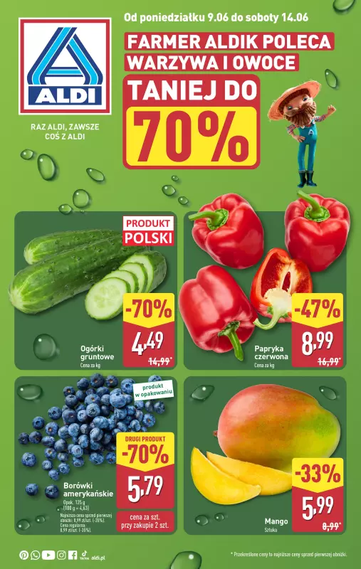 Aldi - gazetka promocyjna Farmer Aldik poleca od poniedziałku 09.06 do soboty 14.06