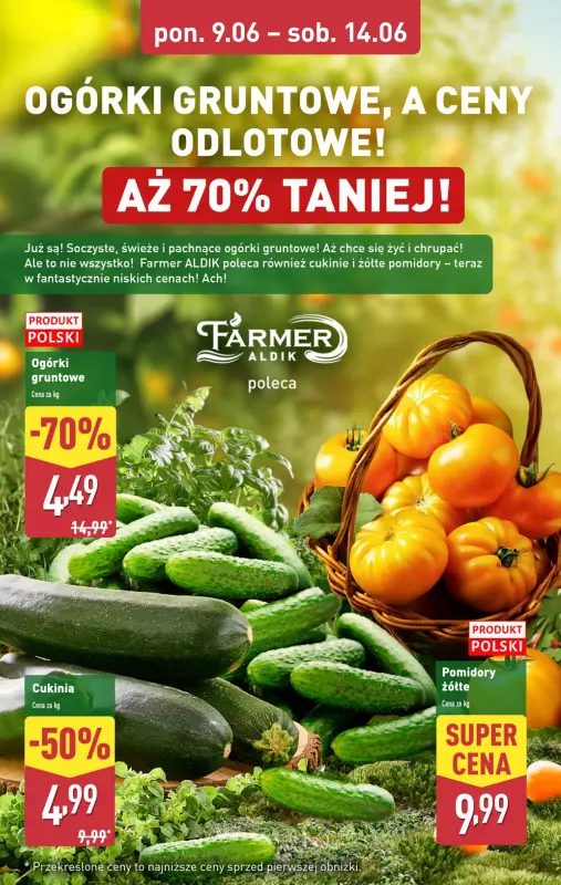 Aldi - gazetka promocyjna Farmer Aldik poleca od poniedziałku 09.06 do soboty 14.06 - strona 4