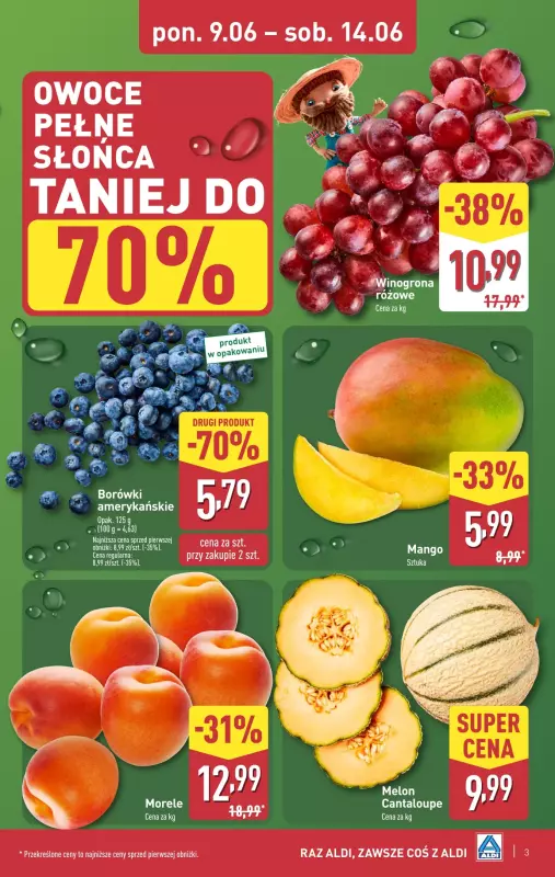 Aldi - gazetka promocyjna Pełny katalog! od poniedziałku 09.06 do soboty 14.06 - strona 3