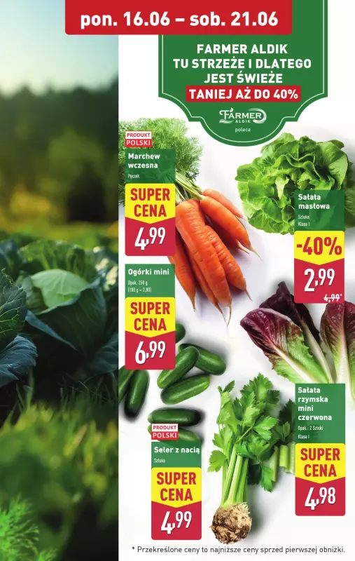 Aldi - gazetka promocyjna Pełny katalog! od poniedziałku 16.06 do soboty 21.06 - strona 5
