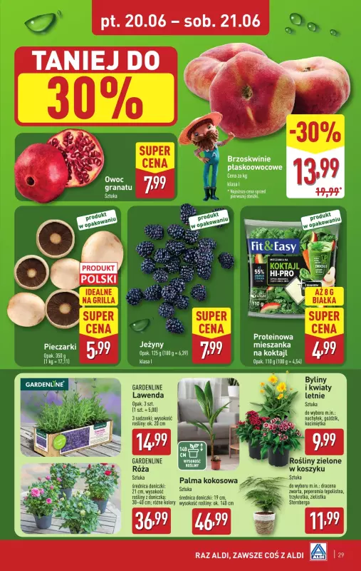 Aldi - gazetka promocyjna Pełny katalog! od poniedziałku 16.06 do soboty 21.06 - strona 29