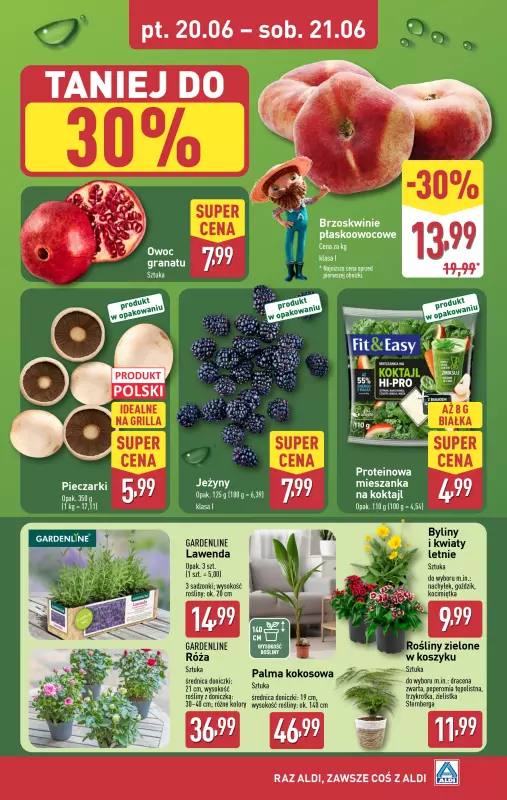 Aldi - gazetka promocyjna Farmer Aldik poleca! od poniedziałku 16.06 do soboty 21.06 - strona 6