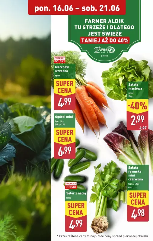 Aldi - gazetka promocyjna Pełny katalog! od poniedziałku 16.06 do soboty 21.06 - strona 5