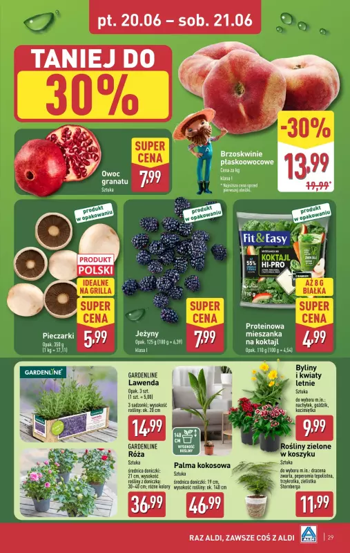 Aldi - gazetka promocyjna Pełny katalog! od poniedziałku 16.06 do soboty 21.06 - strona 29