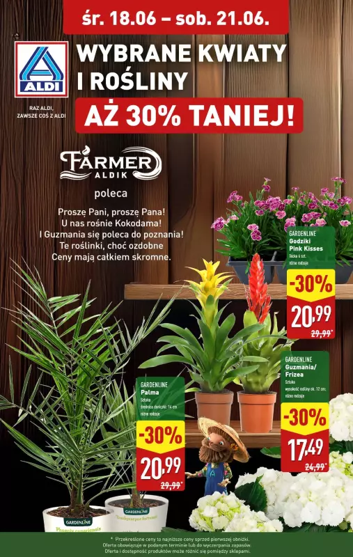 Aldi - gazetka promocyjna Wybrane kwiaty i rośliny aż 30% taniej! od środy 18.06 do soboty 21.06