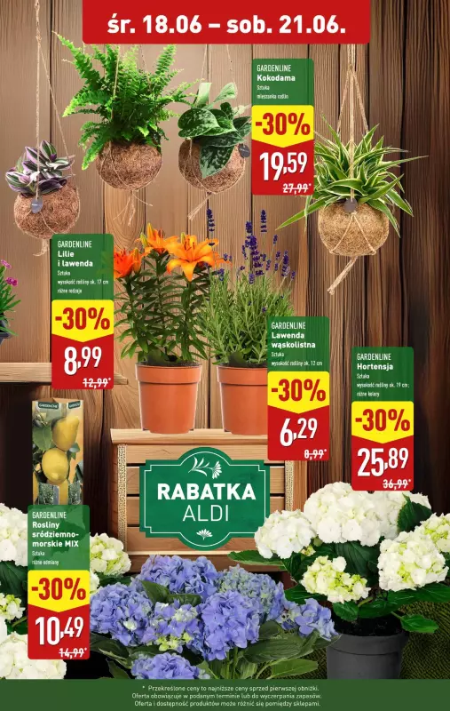 Aldi - gazetka promocyjna Wybrane kwiaty i rośliny aż 30% taniej!   - strona 2