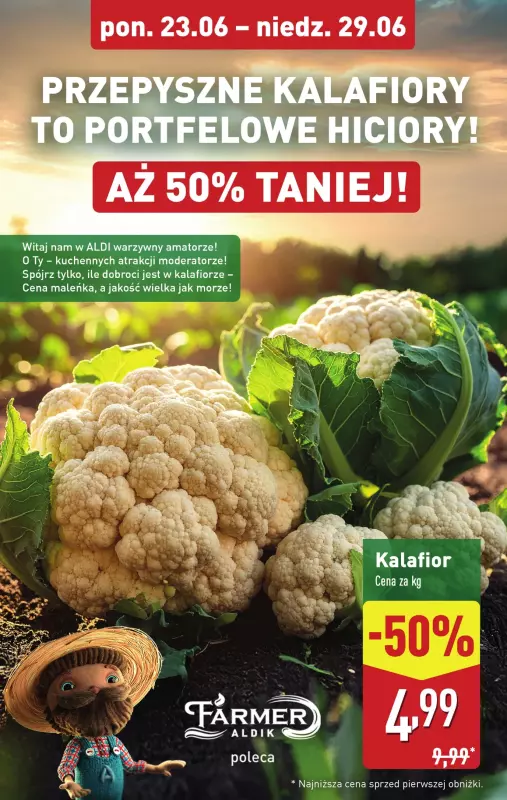 Aldi - gazetka promocyjna Weekend super cen w Aldi! od czwartku 26.06 do niedzieli 29.06 - strona 8