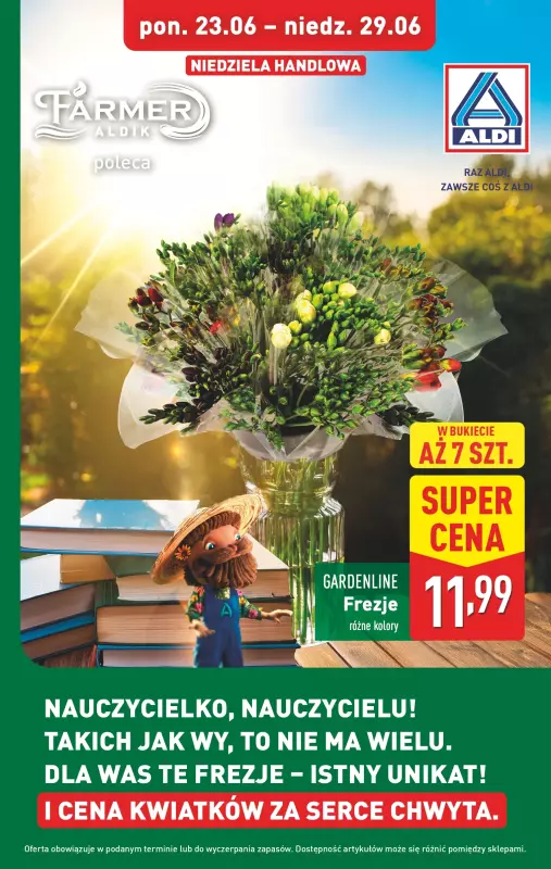 Aldi - gazetka promocyjna Pełny katalog! od poniedziałku 23.06 do niedzieli 29.06 - strona 39
