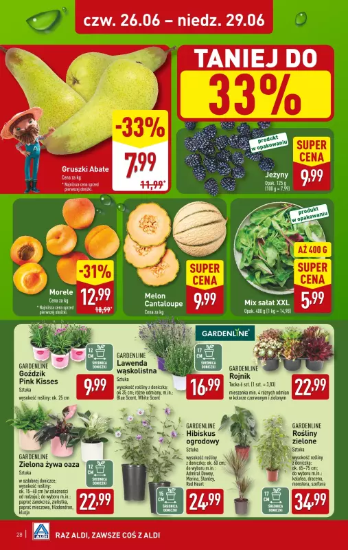 Aldi - gazetka promocyjna Pełny katalog! od poniedziałku 23.06 do niedzieli 29.06 - strona 28