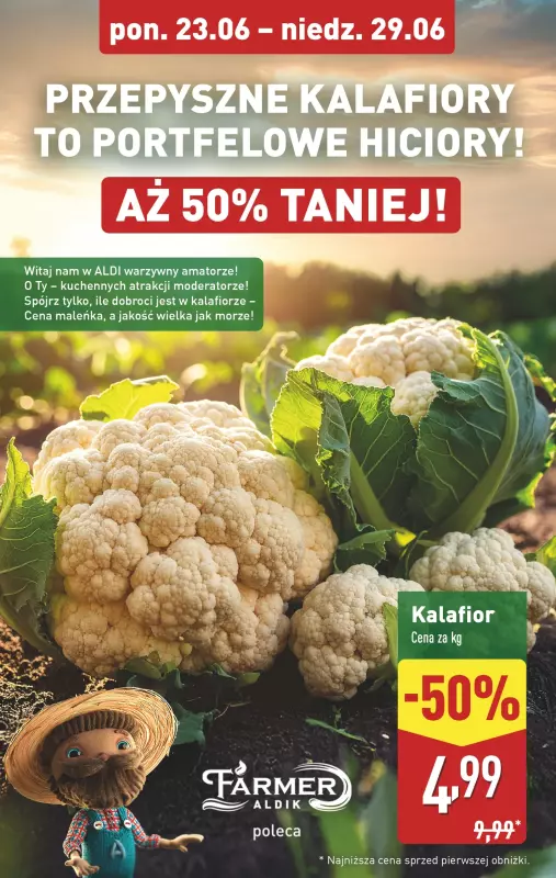 Aldi - gazetka promocyjna Pełny katalog! od poniedziałku 23.06 do niedzieli 29.06 - strona 4