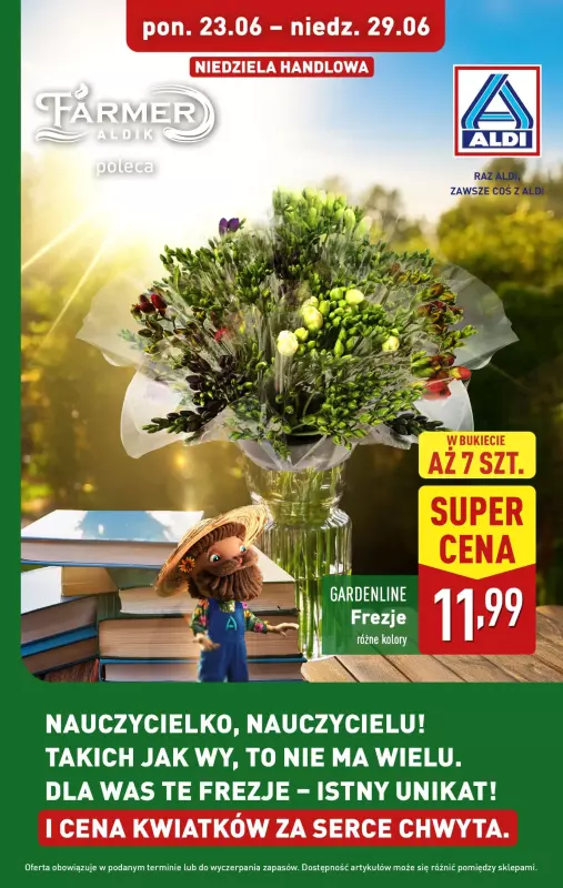 Aldi - gazetka promocyjna Frezje w super cenie!  