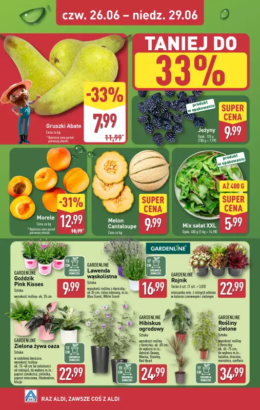 Aldi - gazetka promocyjna Farmer Aldik poleca! od poniedziałku 23.06 do niedzieli 29.06 - strona 4