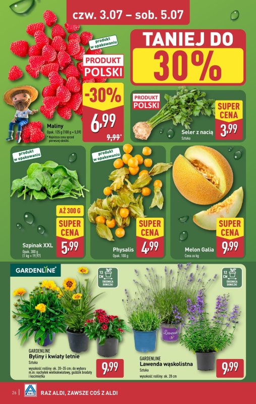 Aldi - gazetka promocyjna Pełny katalog! od poniedziałku 30.06 do soboty 05.07 - strona 26