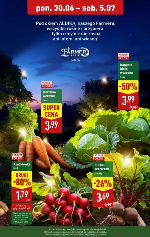 Aldi - gazetka promocyjna Pełny katalog! od poniedziałku 30.06 do soboty 05.07 - strona 5