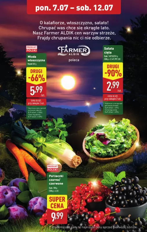 Aldi - gazetka promocyjna Pełny katalog! od poniedziałku 07.07 do soboty 12.07 - strona 5