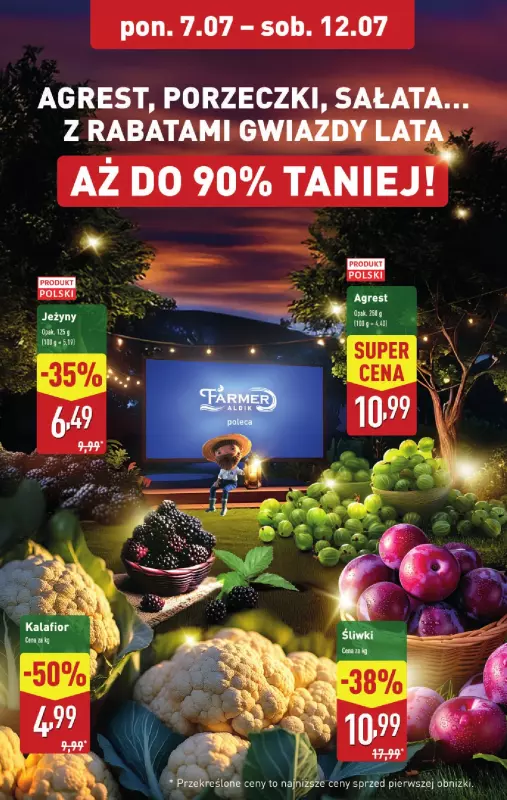 Aldi - gazetka promocyjna Pełny katalog! od poniedziałku 07.07 do soboty 12.07 - strona 4