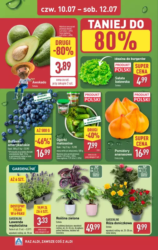 Aldi - gazetka promocyjna Farmer Aldik poleca! od poniedziałku 07.07 do soboty 12.07 - strona 5
