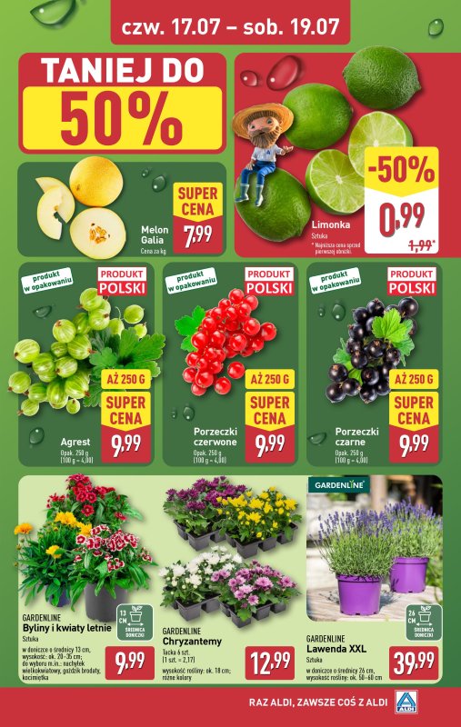 Aldi - gazetka promocyjna Farmer Aldik poleca! od poniedziałku 14.07 do soboty 19.07 - strona 6