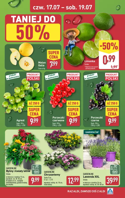 Aldi - gazetka promocyjna Farmer Aldik poleca! od poniedziałku 14.07 do soboty 19.07 - strona 6