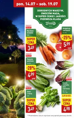 Aldi - gazetka promocyjna Pełny katalog! od poniedziałku 14.07 do soboty 19.07 - strona 5