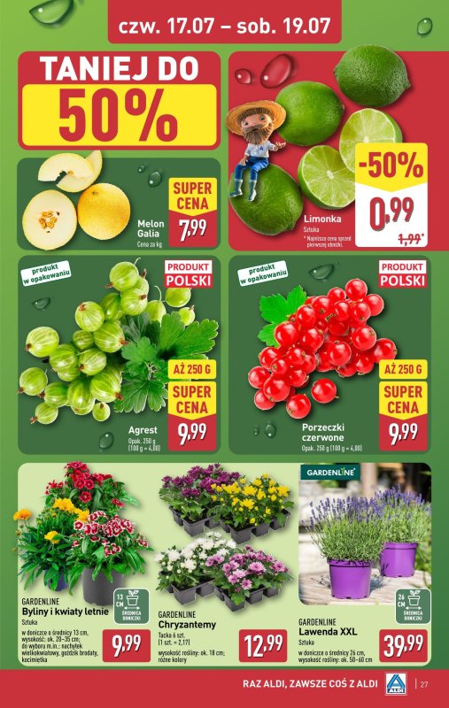 Aldi - gazetka promocyjna Pełny katalog! od poniedziałku 14.07 do soboty 19.07 - strona 27