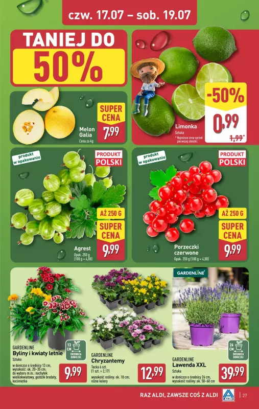 Aldi - gazetka promocyjna Pełny katalog! od poniedziałku 14.07 do soboty 19.07 - strona 27