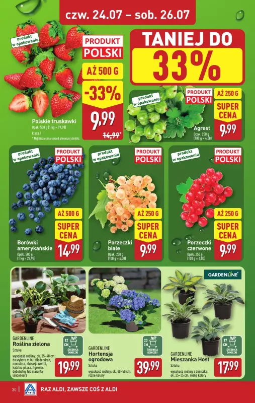Aldi - gazetka promocyjna Pełny katalog! od poniedziałku 21.07 do soboty 26.07 - strona 30