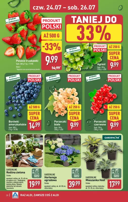 Aldi - gazetka promocyjna Pełny katalog! od poniedziałku 21.07 do soboty 26.07 - strona 30