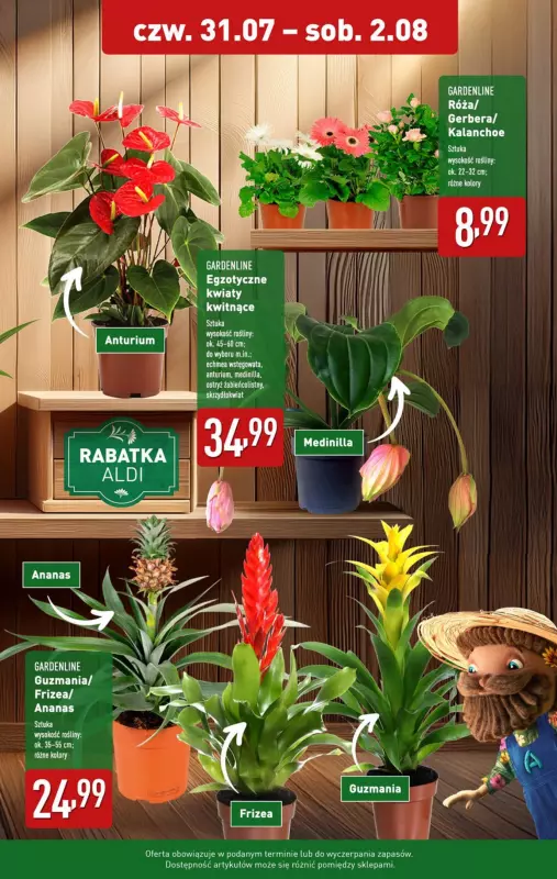 Aldi - gazetka promocyjna Pełny katalog! od poniedziałku 28.07 do soboty 02.08 - strona 31